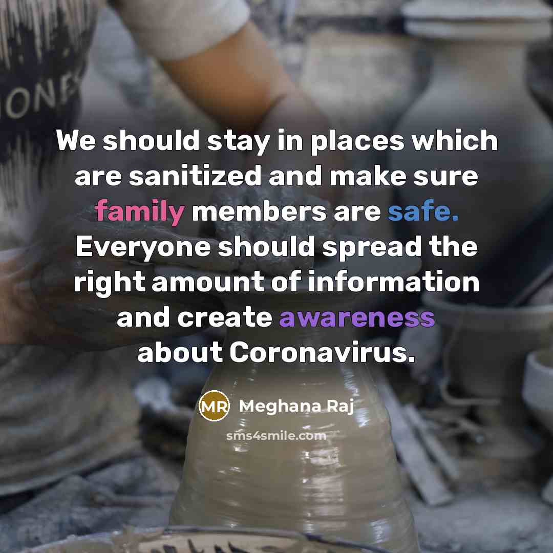 “We should stay in places which are sanitized and make…” quote by Meghana Raj