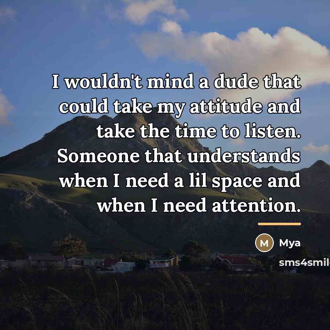 “I wouldn't mind a dude that could take my attitude…” quote by Mya