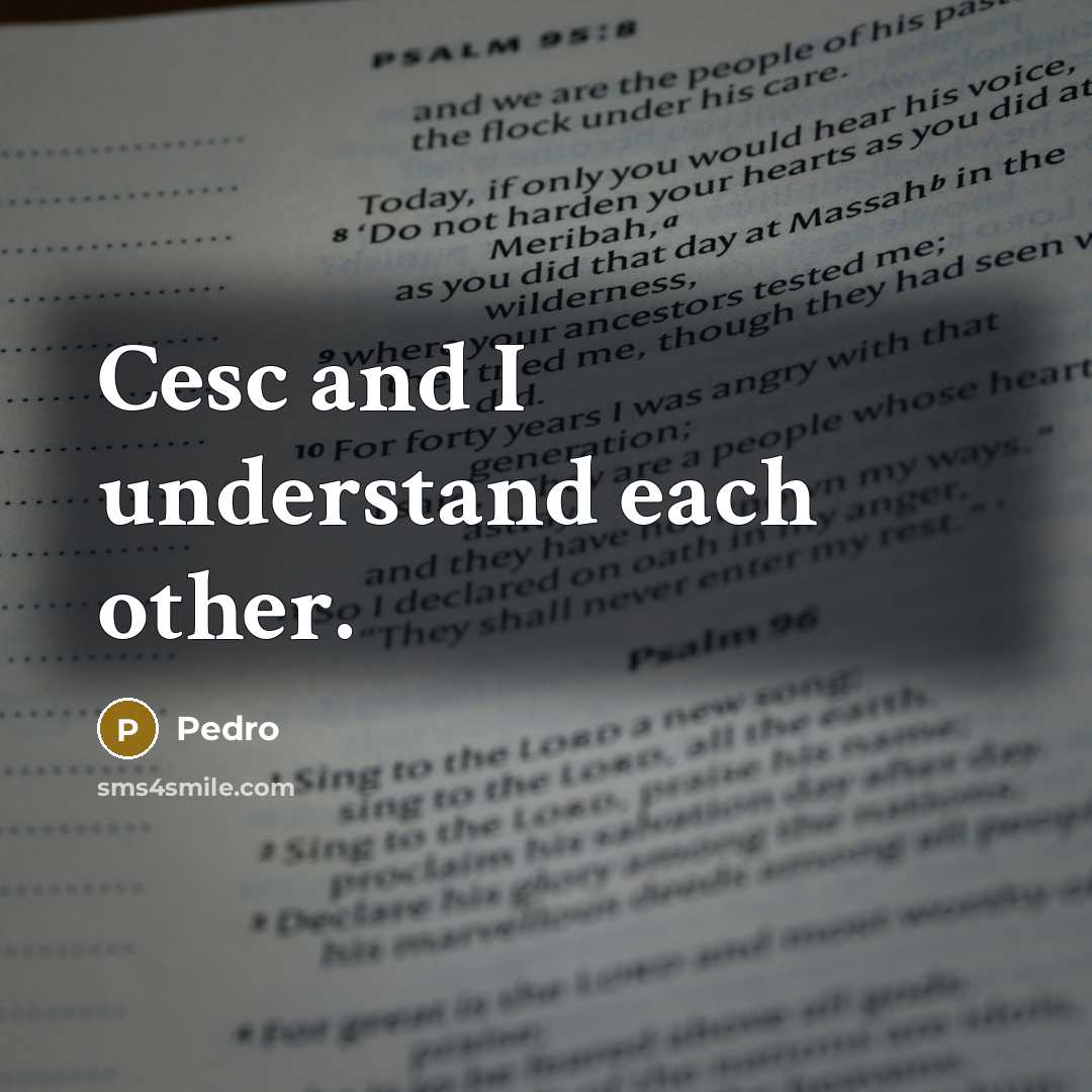 “Cesc and I understand each other.…” quote by Pedro