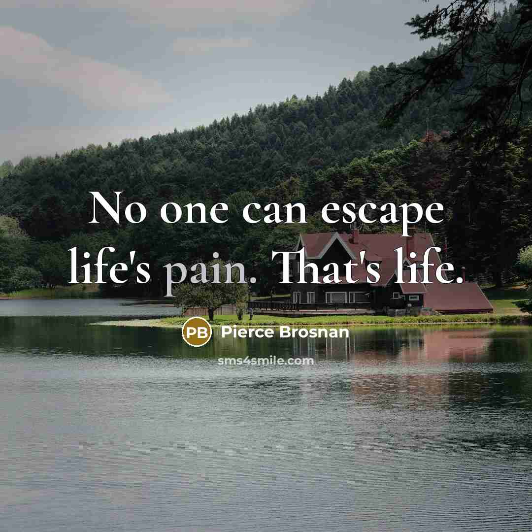 “No one can escape life's pain. That's life.…” quote by Pierce Brosnan