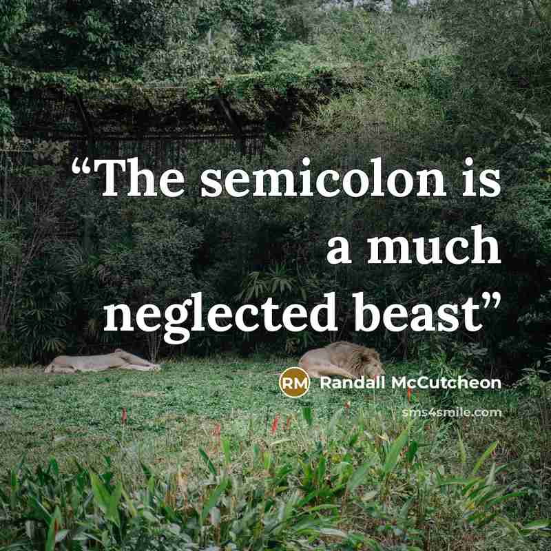 “The semicolon is a much neglected beast” quote by Randall McCutcheon