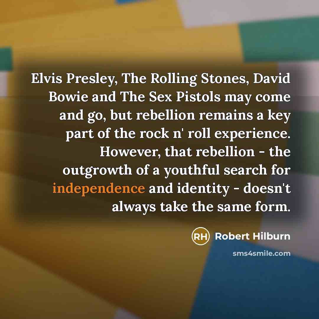 “Elvis Presley, The Rolling Stones, David Bowie and The Sex…” quote by Robert Hilburn