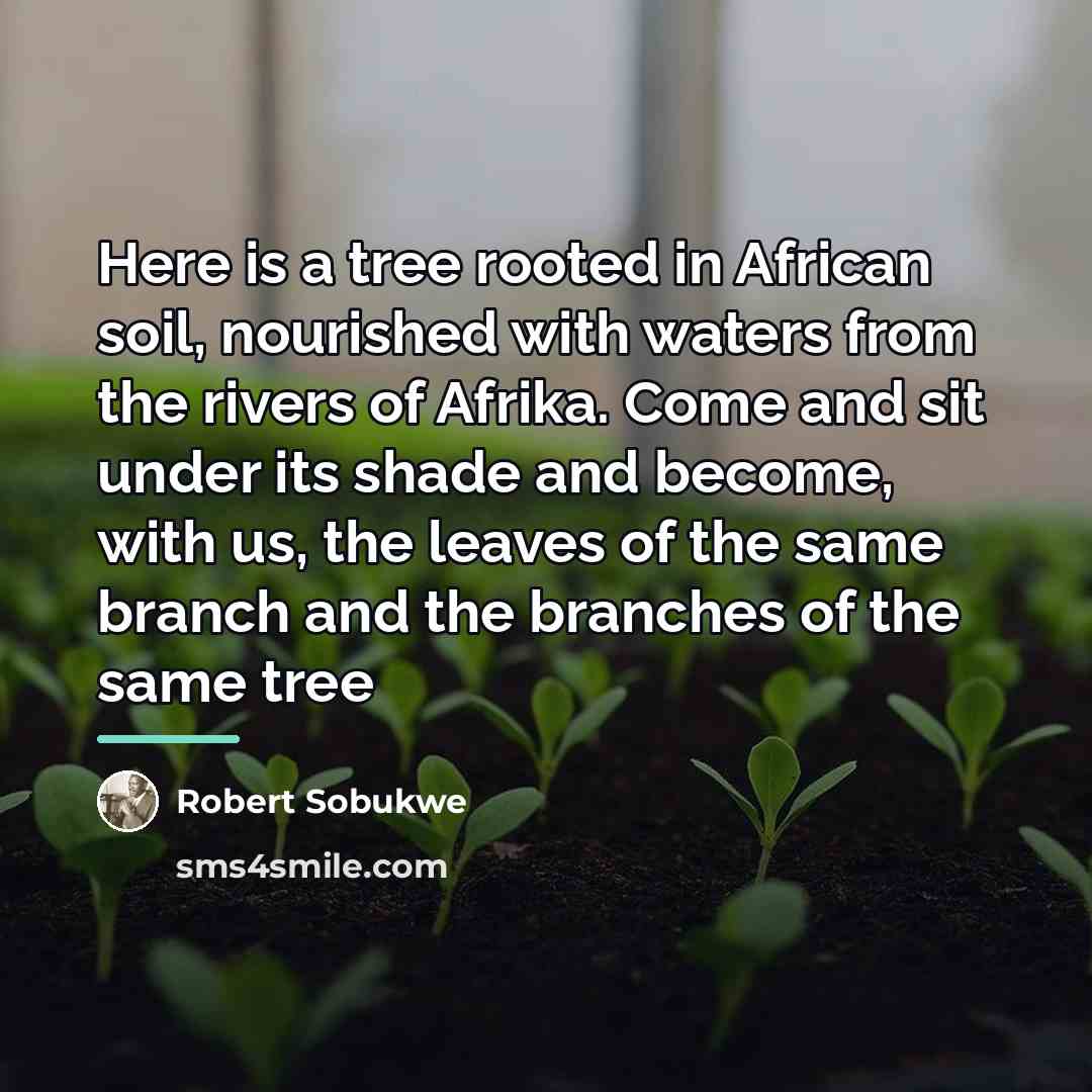 “Here is a tree rooted in African soil, nourished with…” quote by Robert Sobukwe