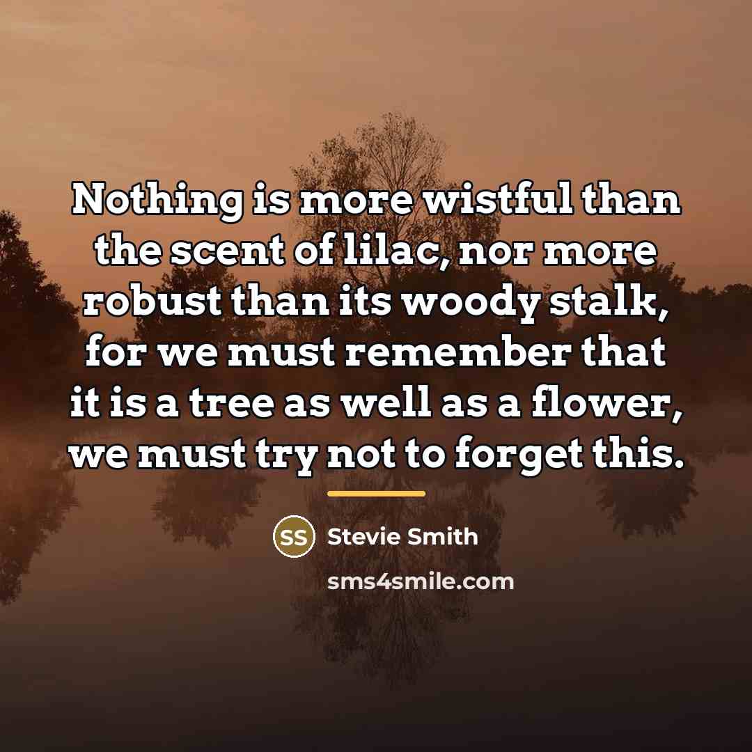 “Nothing is more wistful than the scent of lilac, nor…” quote by Stevie Smith