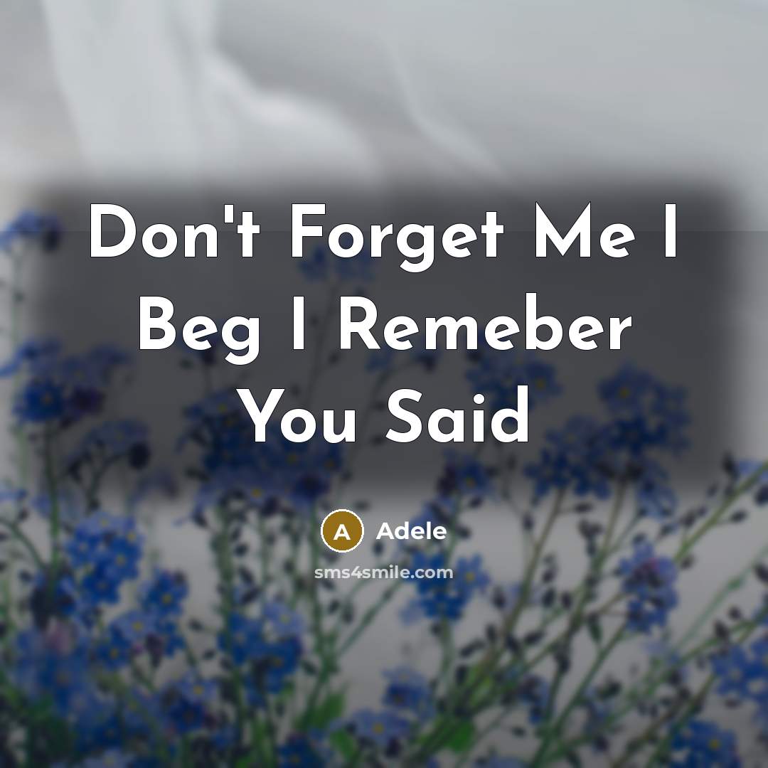 “Don't Forget Me I Beg I Remeber You Said” quote by Adele