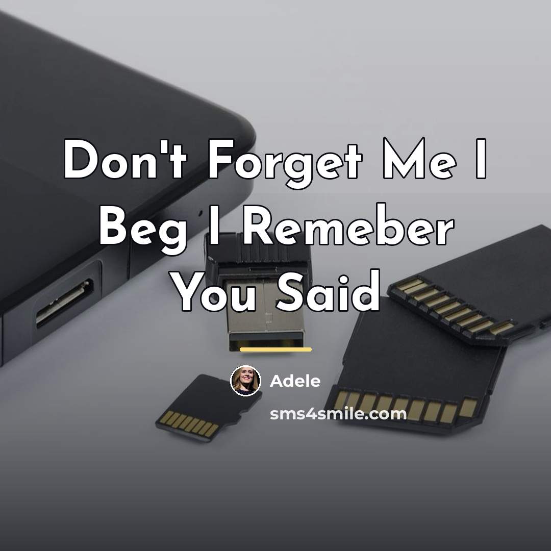 “Don't Forget Me I Beg I Remeber You Said…” quote by Adele