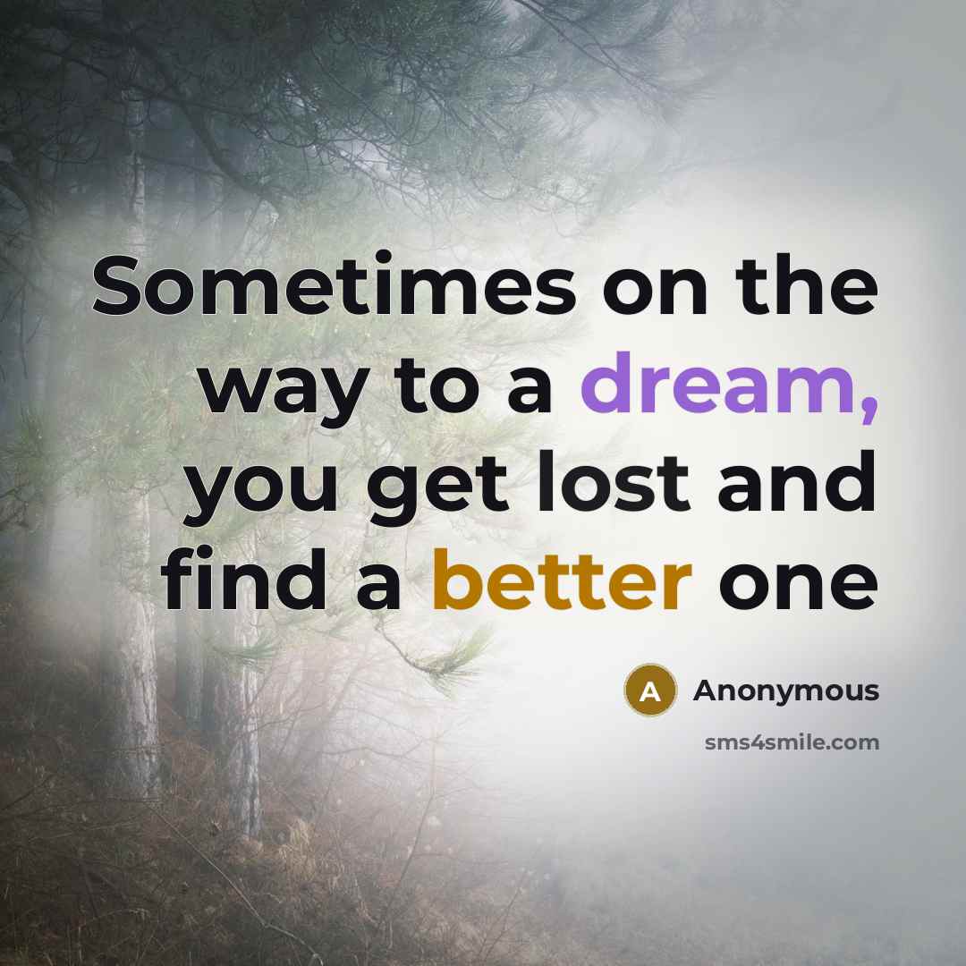 “Sometimes on the way to a dream, you get lost and find a better one” quote by Anonymous