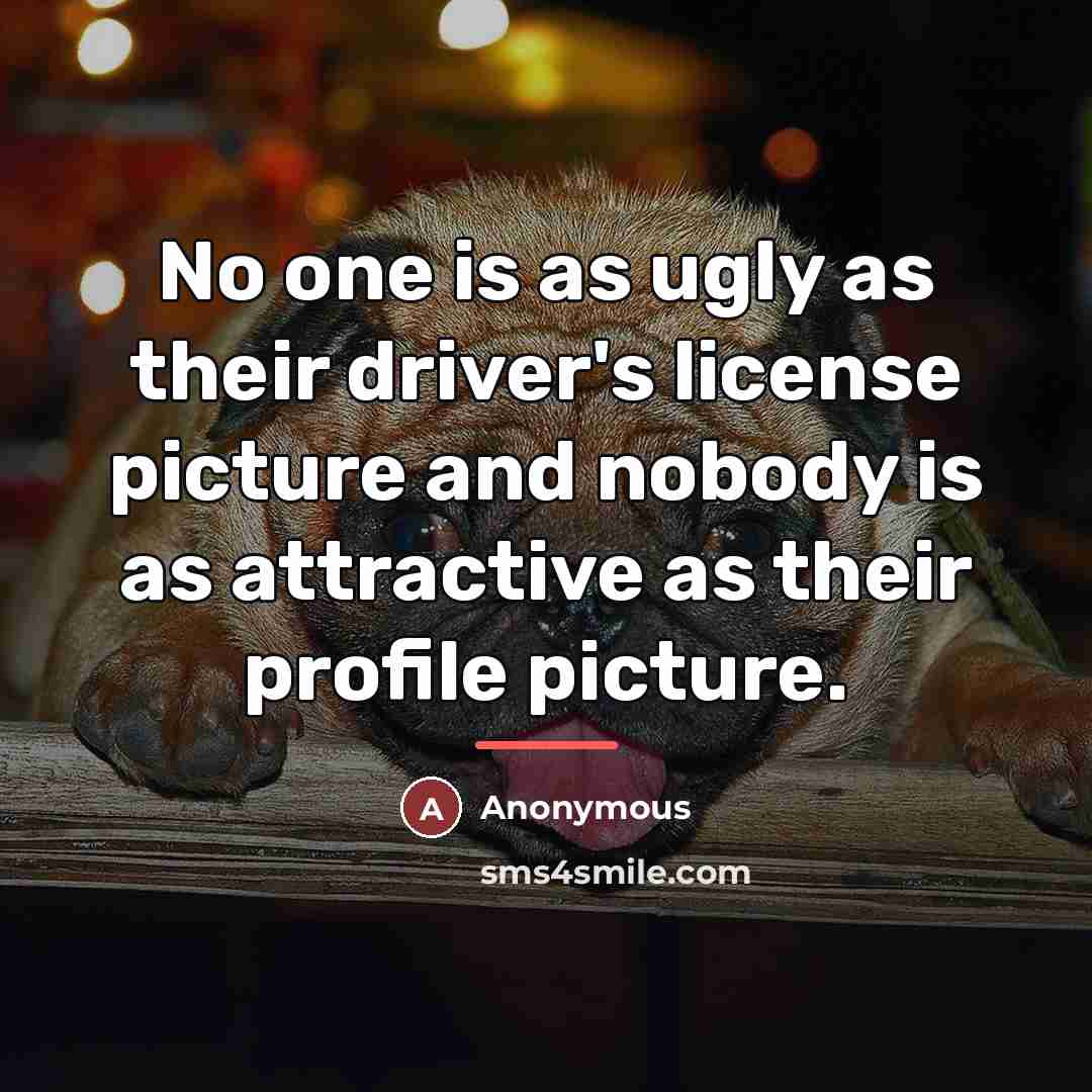 “No one is as ugly as their driver's license picture…” quote by Anonymous