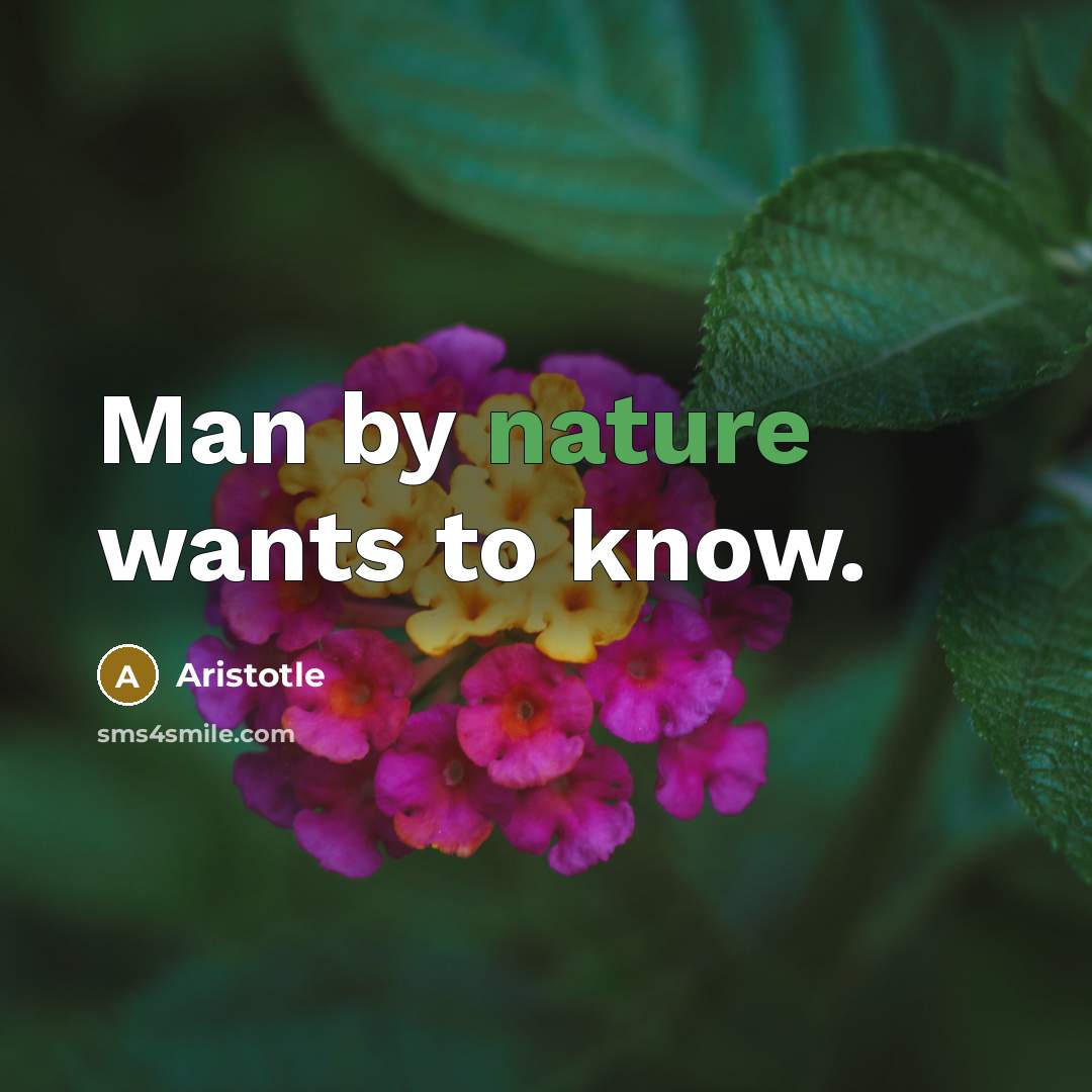 “Man by nature wants to know.…” quote by Aristotle