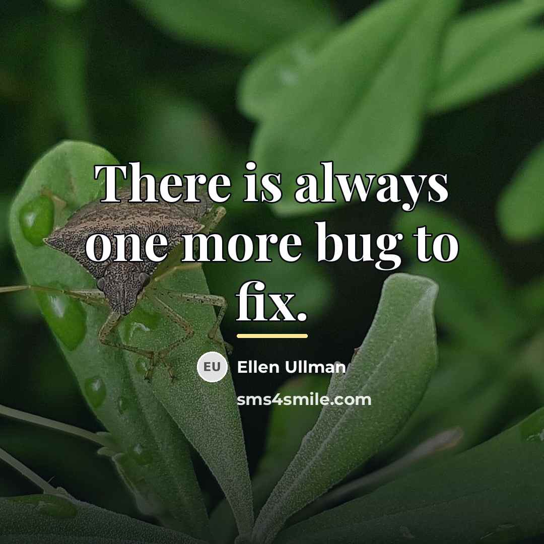 “There is always one more bug to fix.…” quote by Ellen Ullman