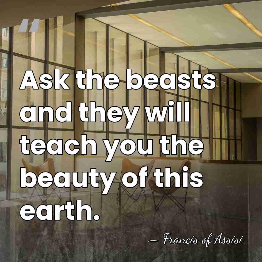 Ask the beasts and they will teach you the beauty of this&hellip; - Francis of Assisi