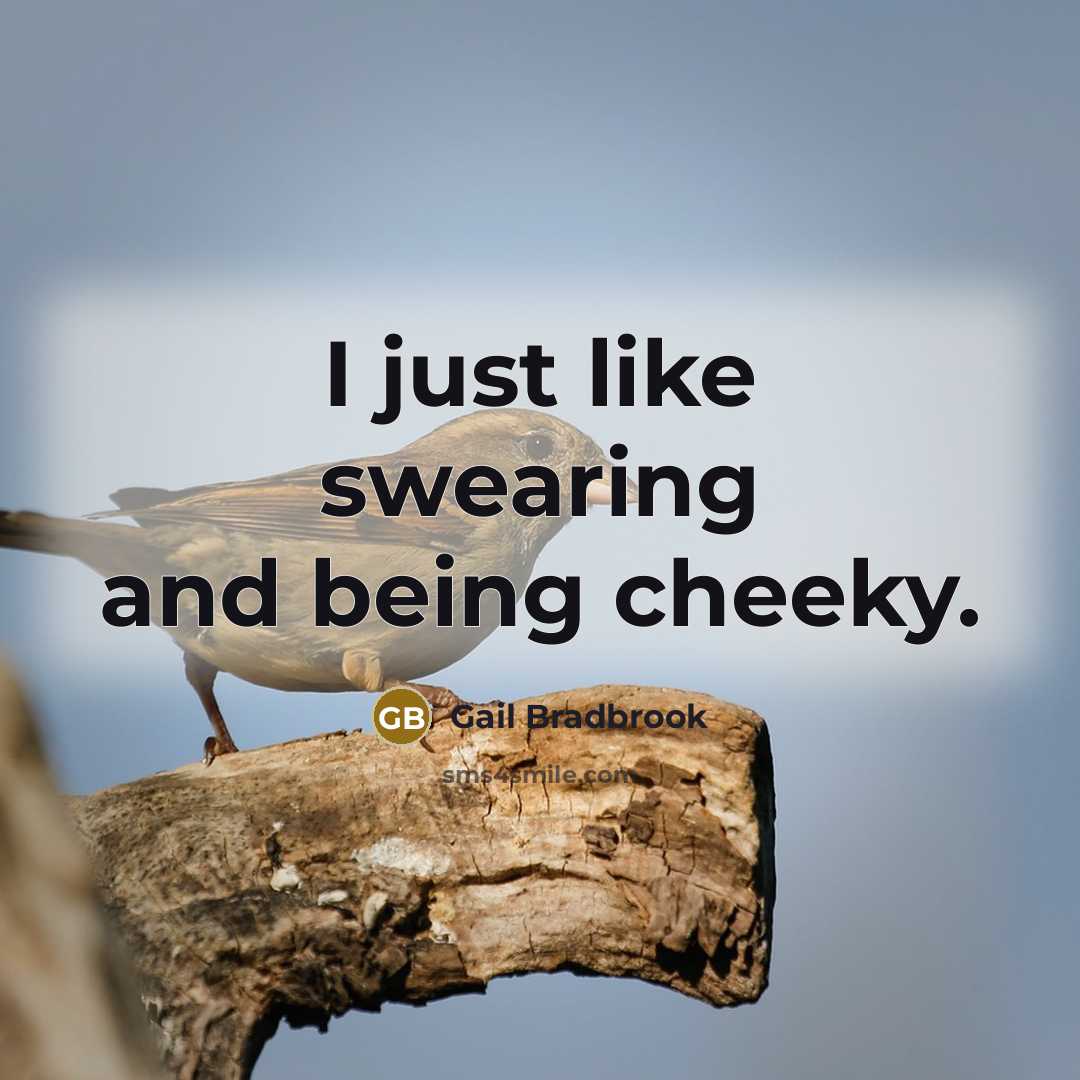 “I just like swearing and being cheeky.…” quote by Gail Bradbrook