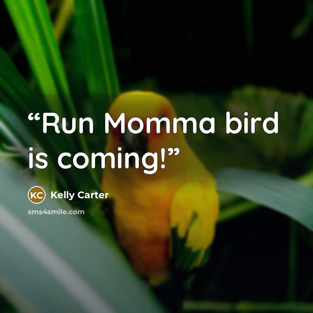 “Run Momma bird is coming!” quote by Kelly Carter