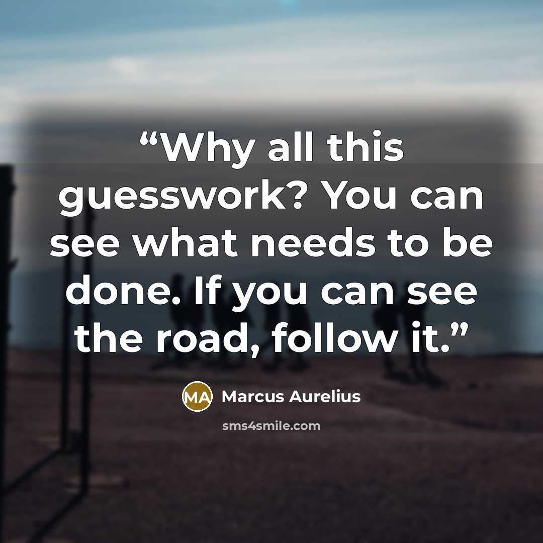 “Why all this guesswork? You can see what needs to be done. If you can see the road, follow it.” quote by Marcus Aurelius