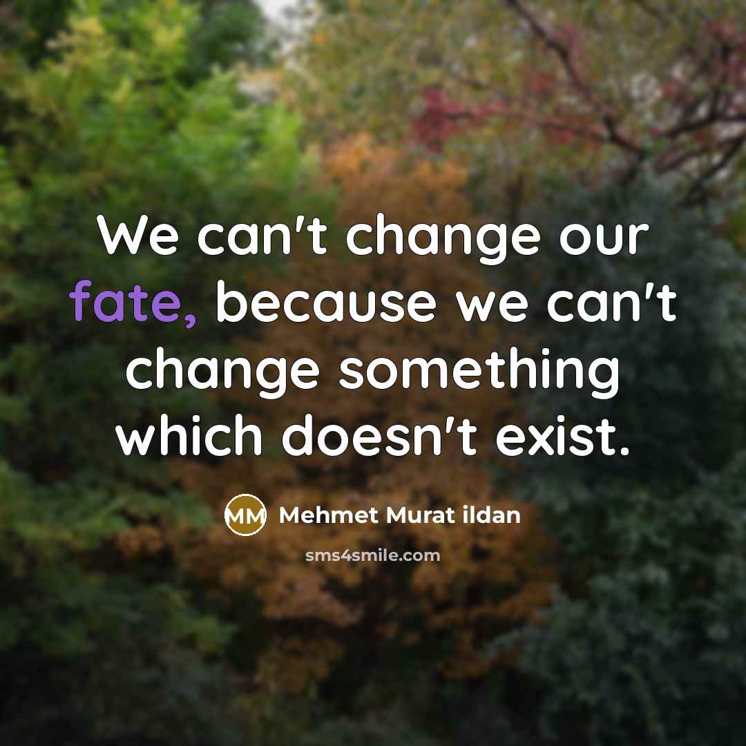 “We can't change our fate, because we can't change something…” quote by Mehmet Murat Ildan