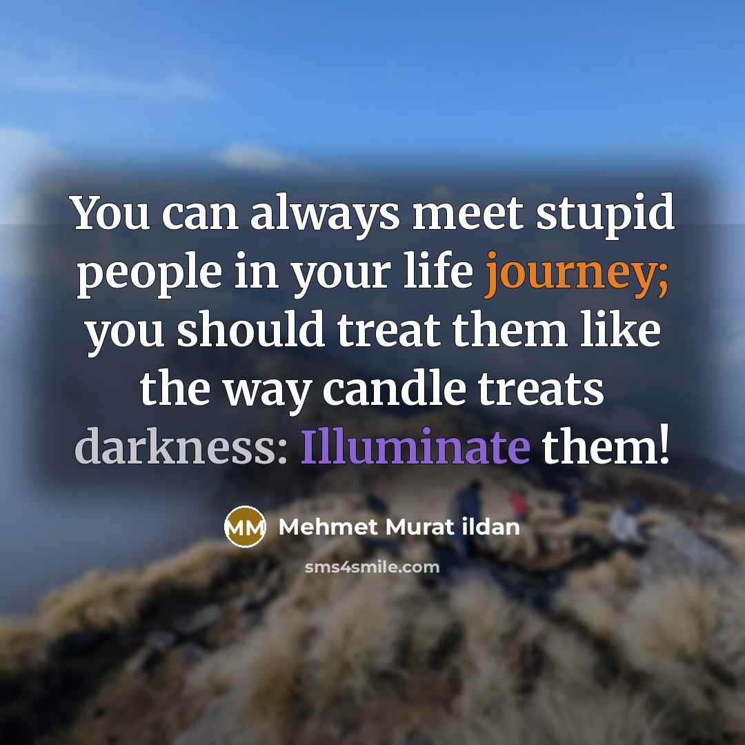 “You can always meet stupid people in your life journey;…” quote by Mehmet Murat Ildan