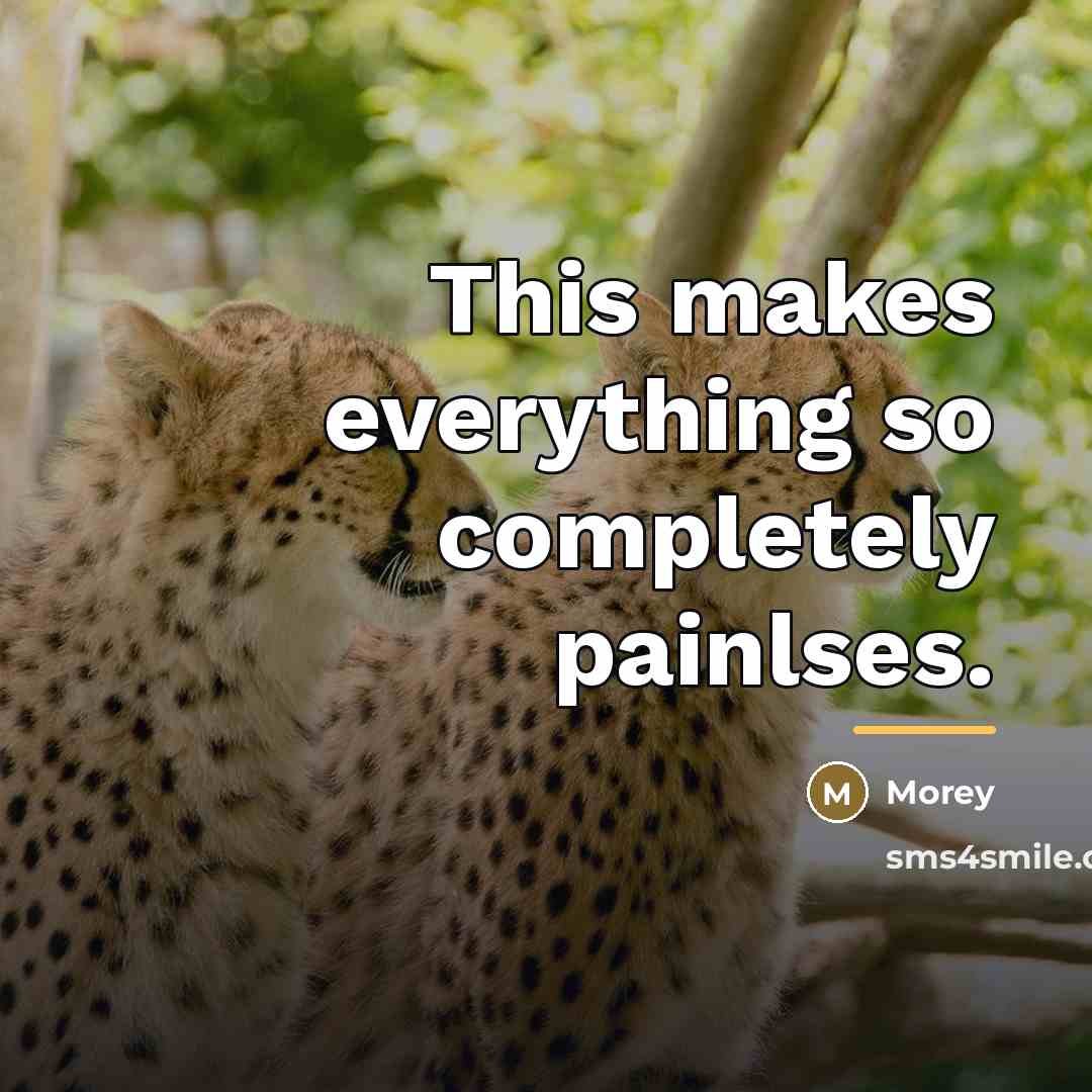 “This makes everything so completely painlses.…” quote by Morey