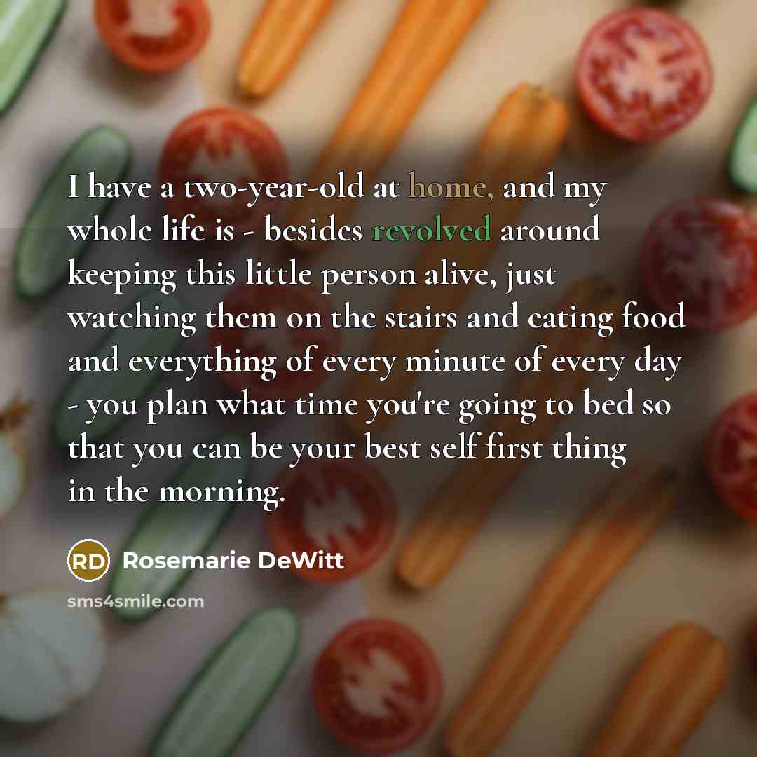 “I have a two-year-old at home, and my whole life…” quote by Rosemarie DeWitt