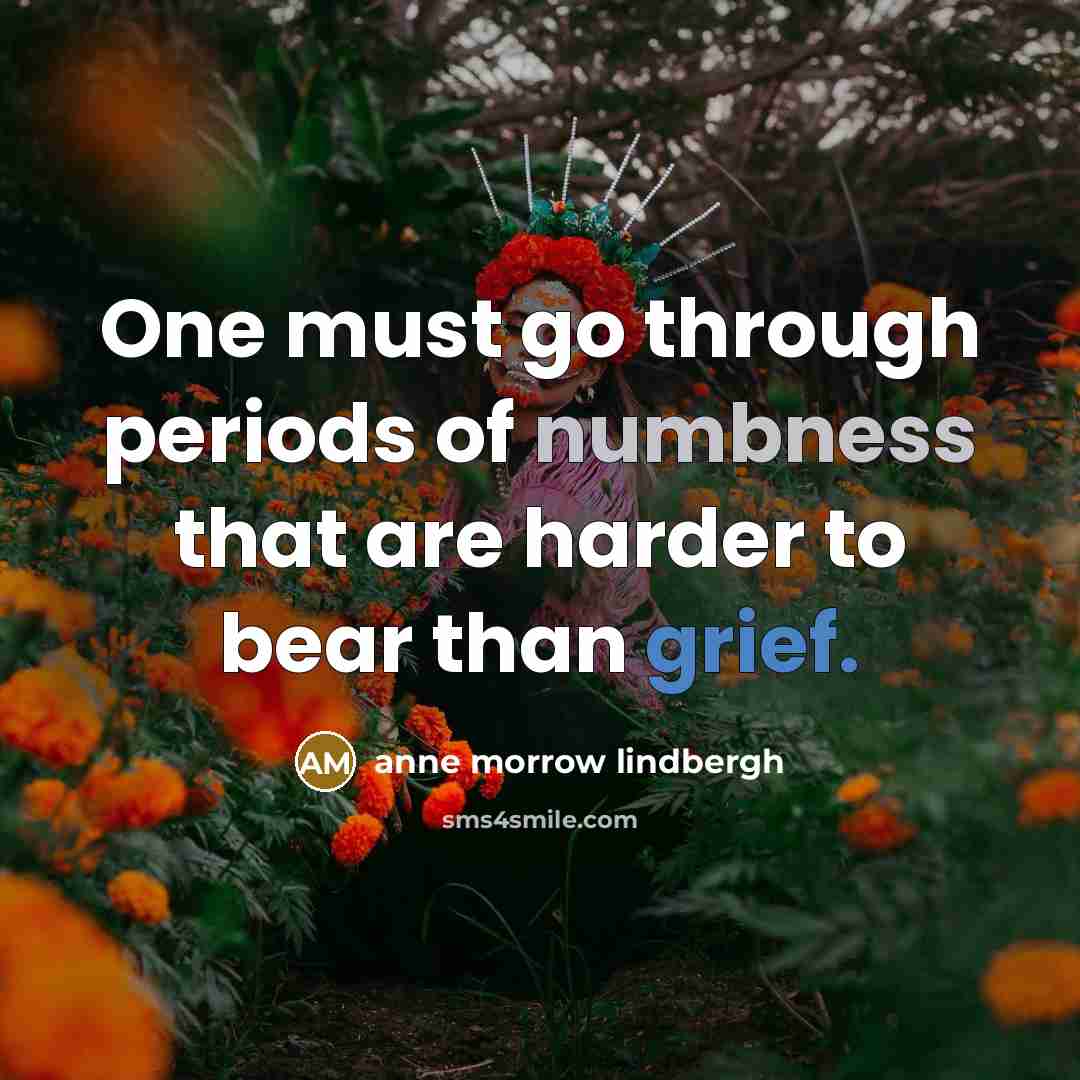 “One must go through periods of numbness that are harder…” quote by Anne Morrow Lindbergh