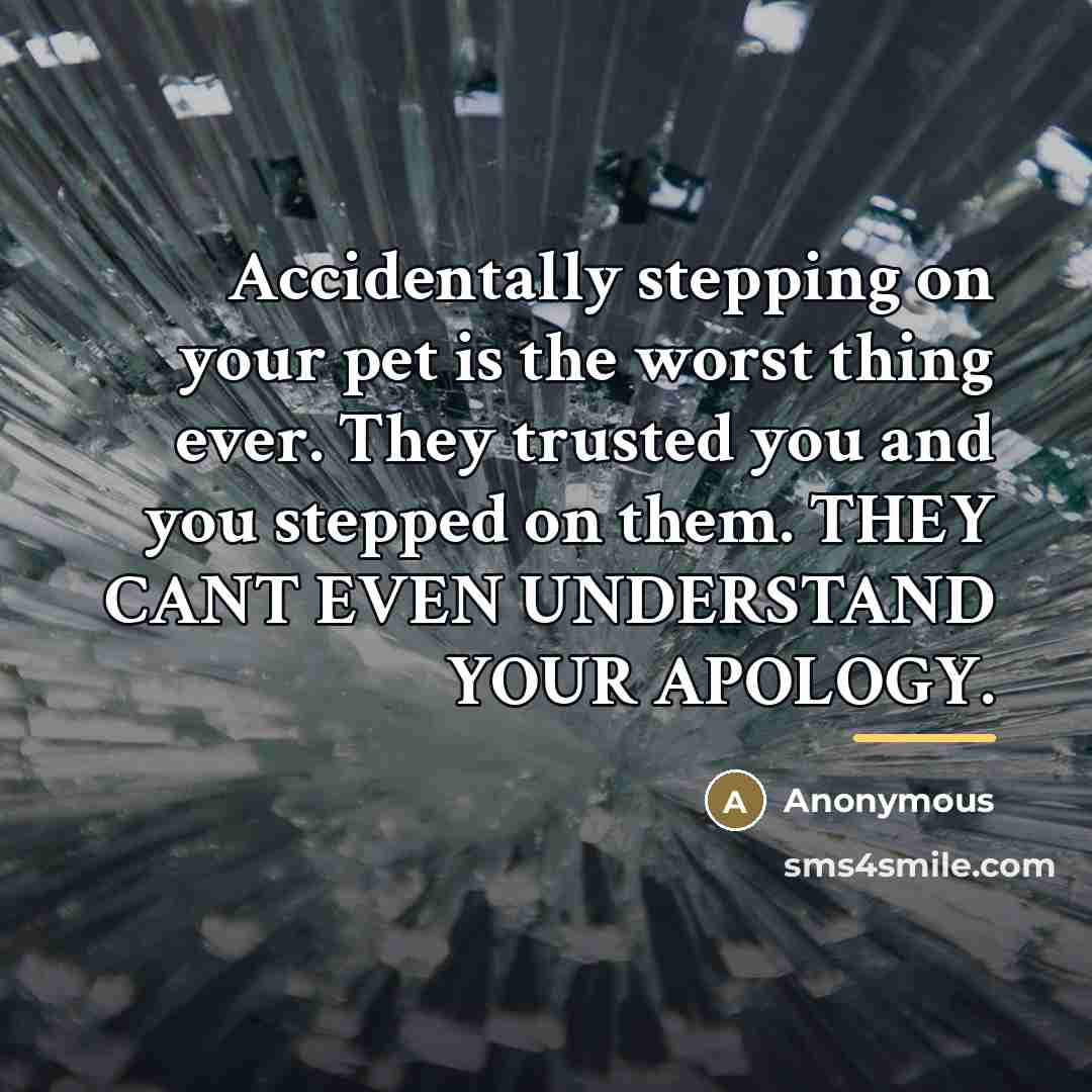 “Accidentally stepping on your pet is the worst thing ever.…” quote by Anonymous