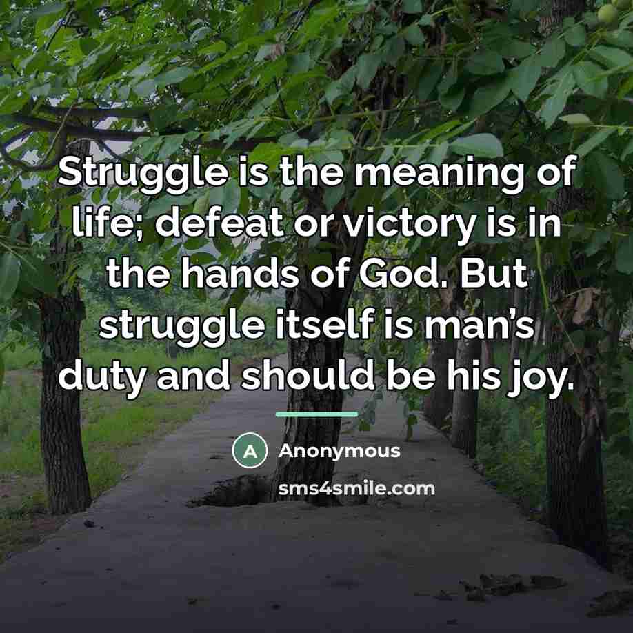 “Struggle is the meaning of life; defeat or victory is…” quote by Anonymous