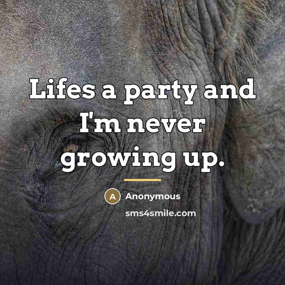 “Lifes a party and I'm never growing up.…” quote by Anonymous
