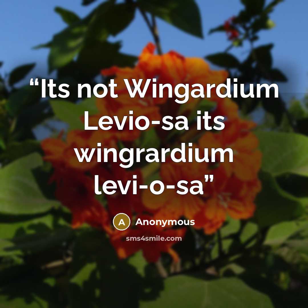“Its not Wingardium Levio-sa its wingrardium levi-o-sa” quote by Anonymous