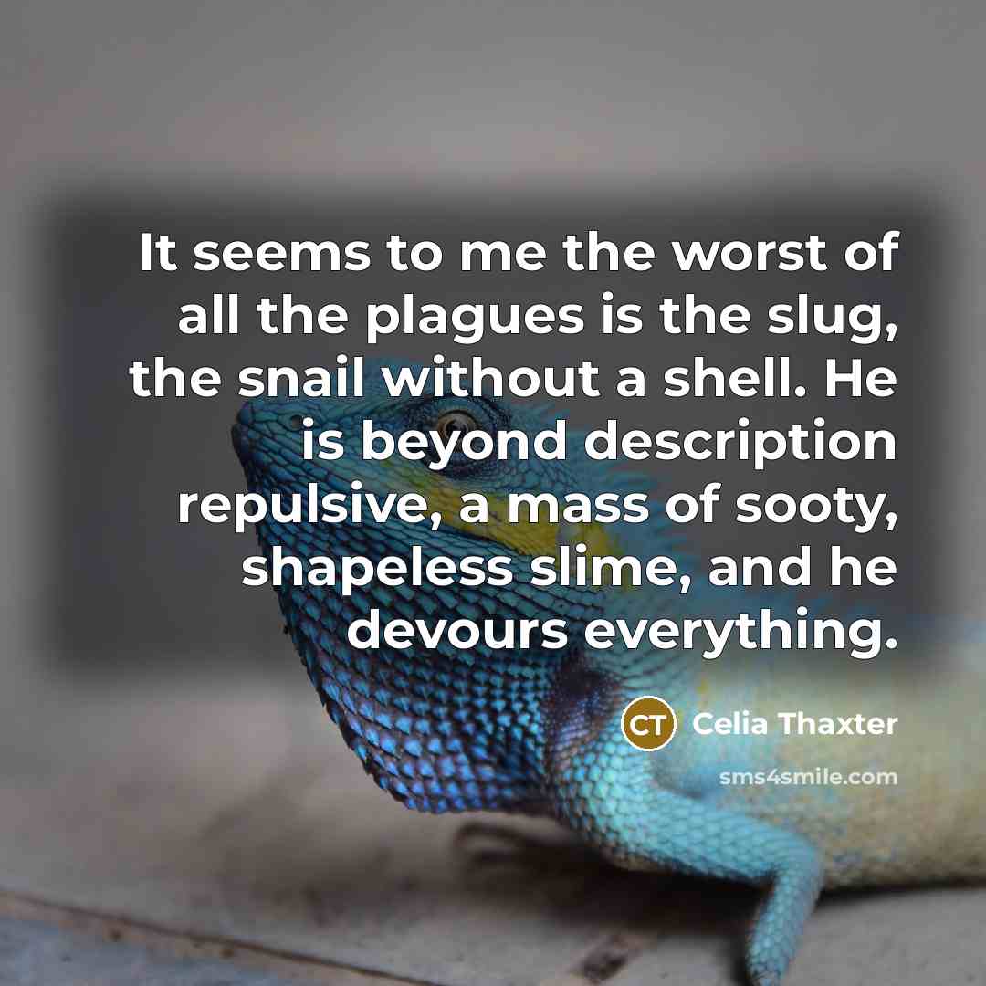 “It seems to me the worst of all the plagues…” quote by Celia Thaxter