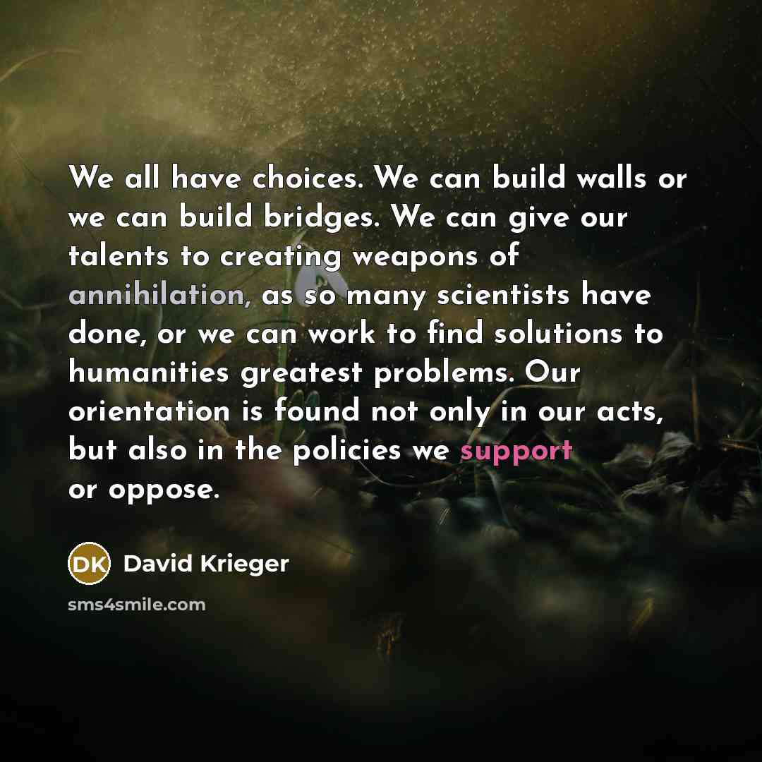 “We all have choices. We can build walls or we…” quote by David Krieger