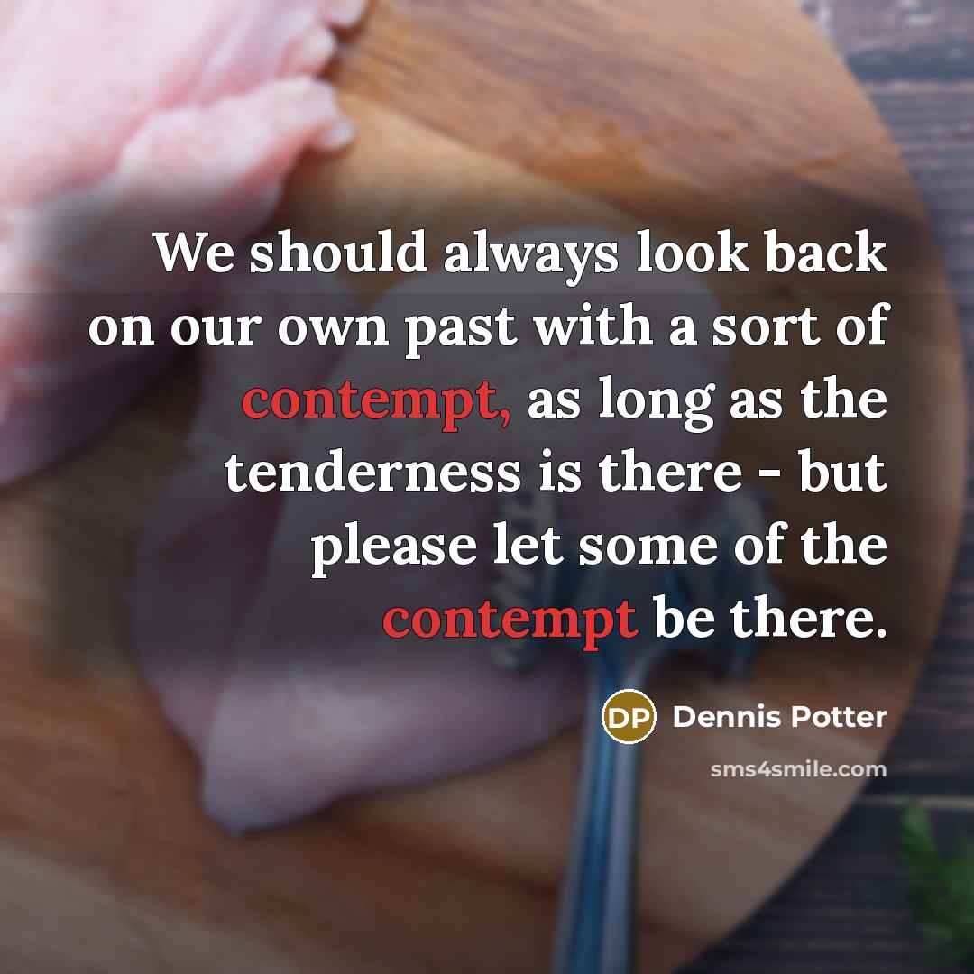“We should always look back on our own past with…” quote by Dennis Potter