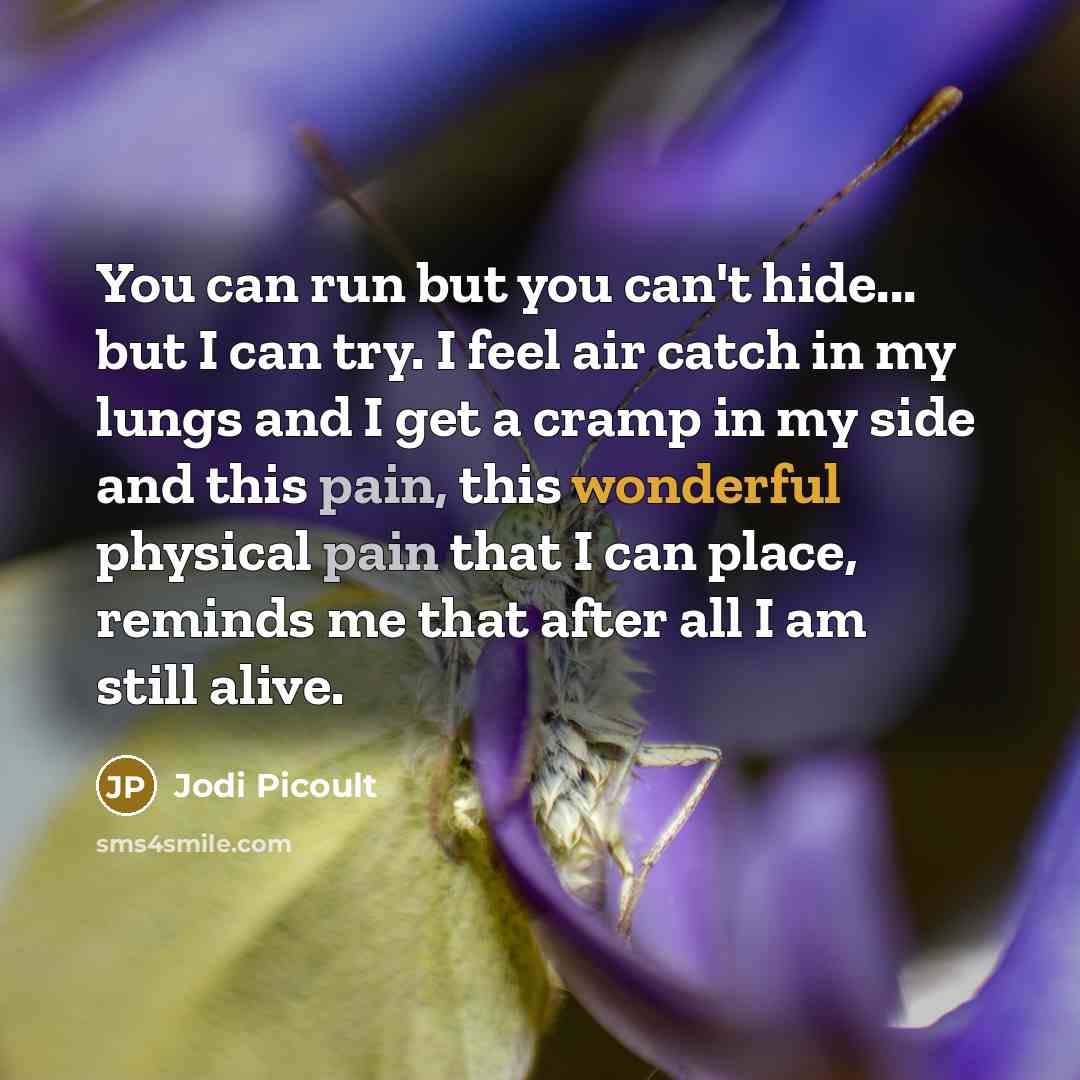 “You can run but you can't hide... but I can…” quote by Jodi Picoult
