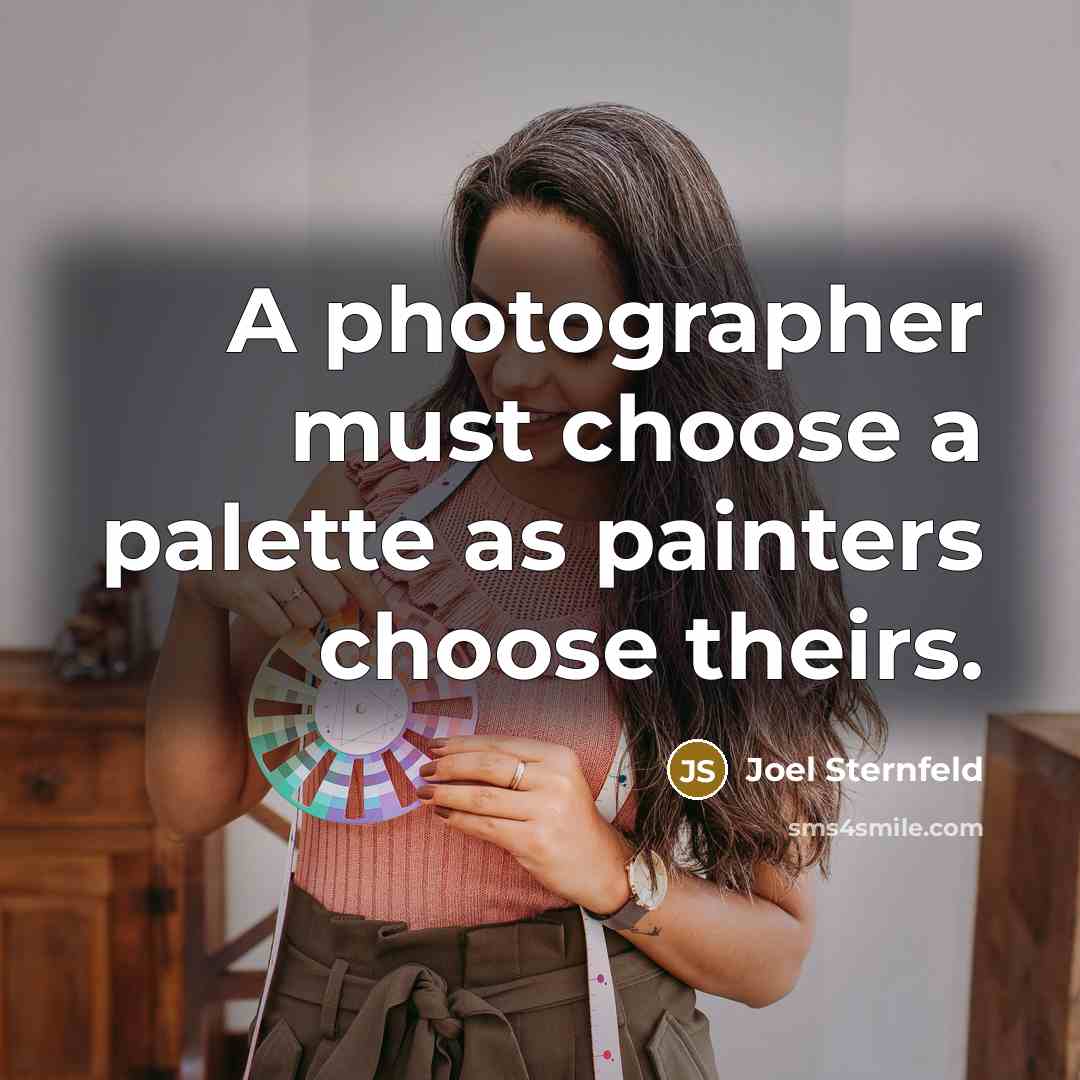 “A photographer must choose a palette as painters choose theirs.…” quote by Joel Sternfeld