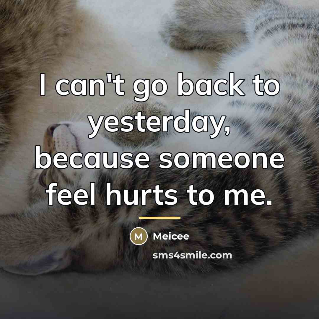“I can't go back to yesterday, because someone feel hurts…” quote by Meicee