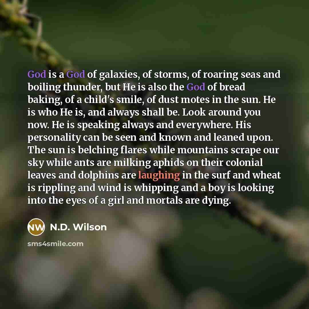 “God is a God of galaxies, of storms, of roaring…” quote by N.D. Wilson