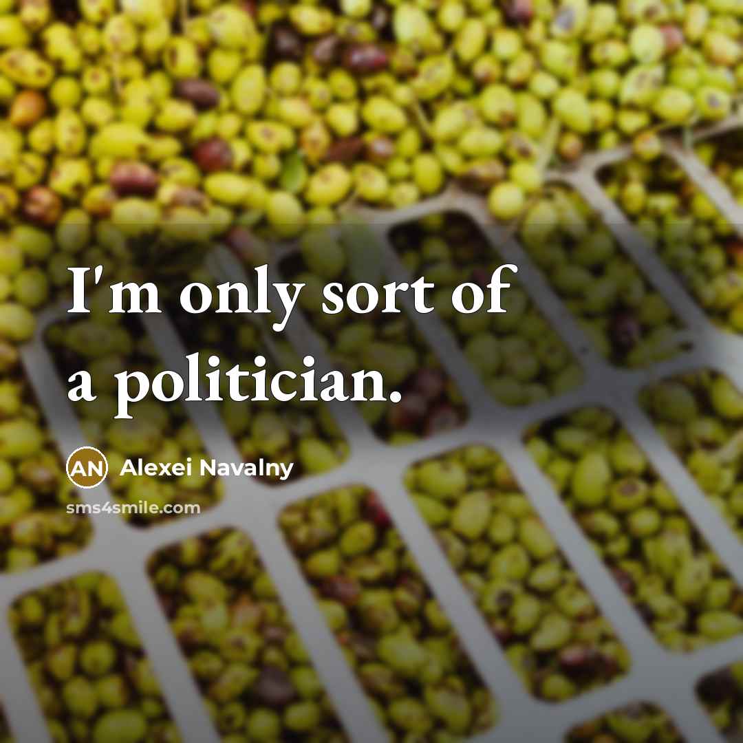 “I'm only sort of a politician.…” quote by Alexei Navalny