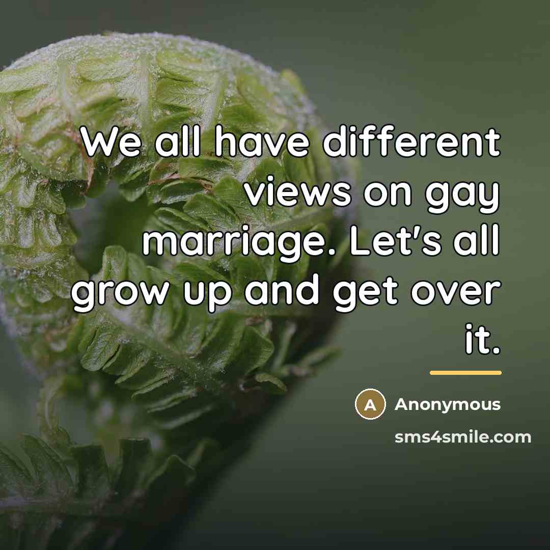 “We all have different views on gay marriage. Let's all…” quote by Anonymous