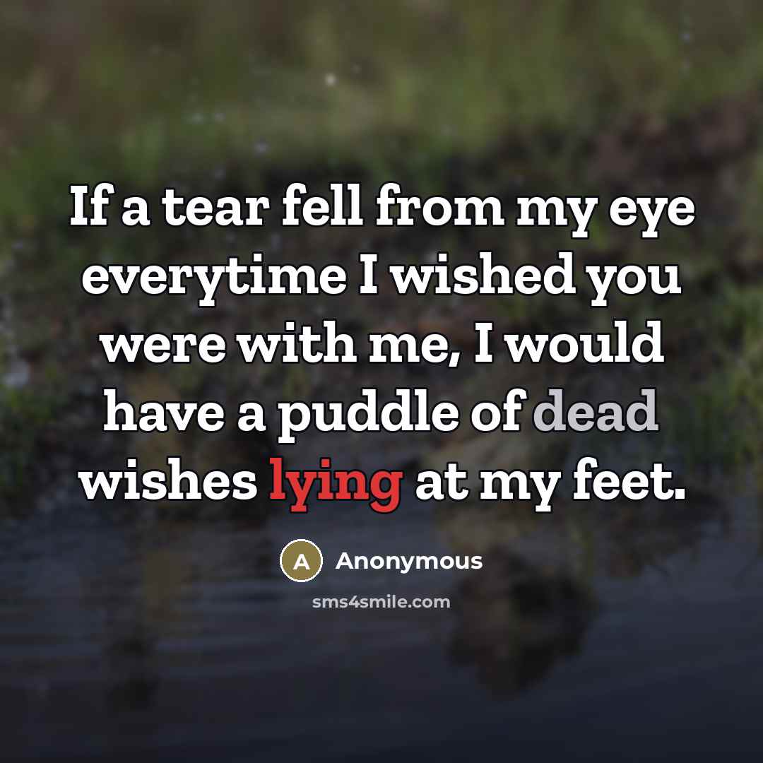 “If a tear fell from my eye everytime I wished you were with me, I would have a puddle of dead wishes lying at my feet.” quote by Anonymous