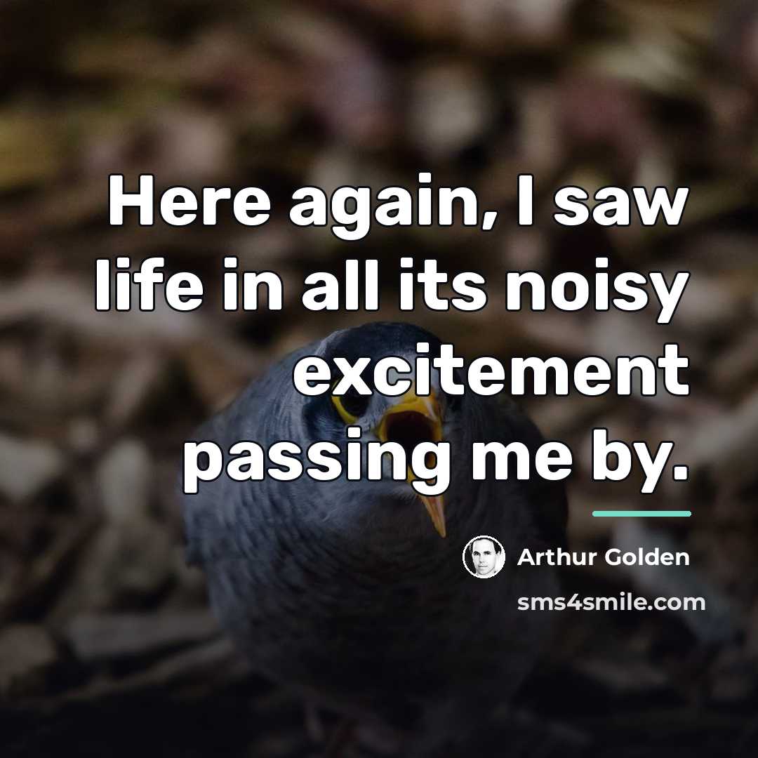 “Here again, I saw life in all its noisy excitement…” quote by Arthur Golden
