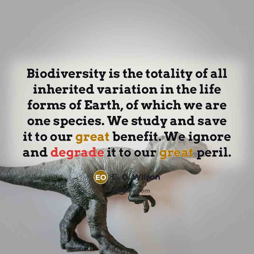 “Biodiversity is the totality of all inherited variation in the…” quote by E. O. Wilson