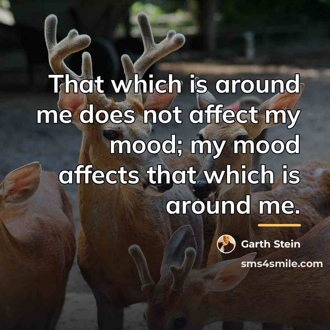 “That which is around me does not affect my mood;…” quote by Garth Stein