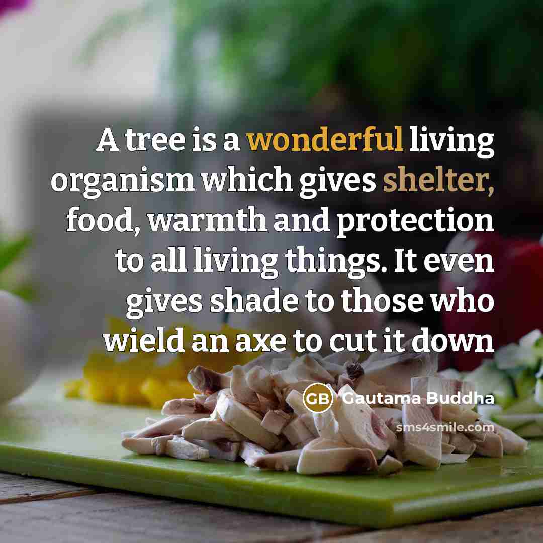 “A tree is a wonderful living organism which gives shelter,…” quote by Gautama Buddha
