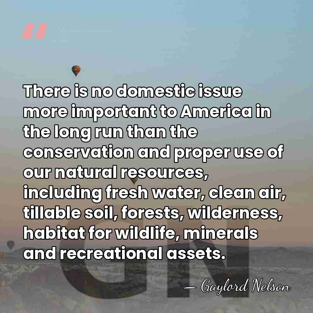 There is no domestic issue more important to America in the long&hellip; - Gaylord Nelson
