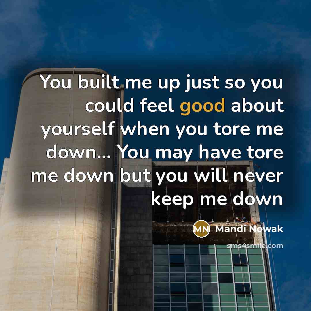 “You built me up just so you could feel good…” quote by Mandi Nowak