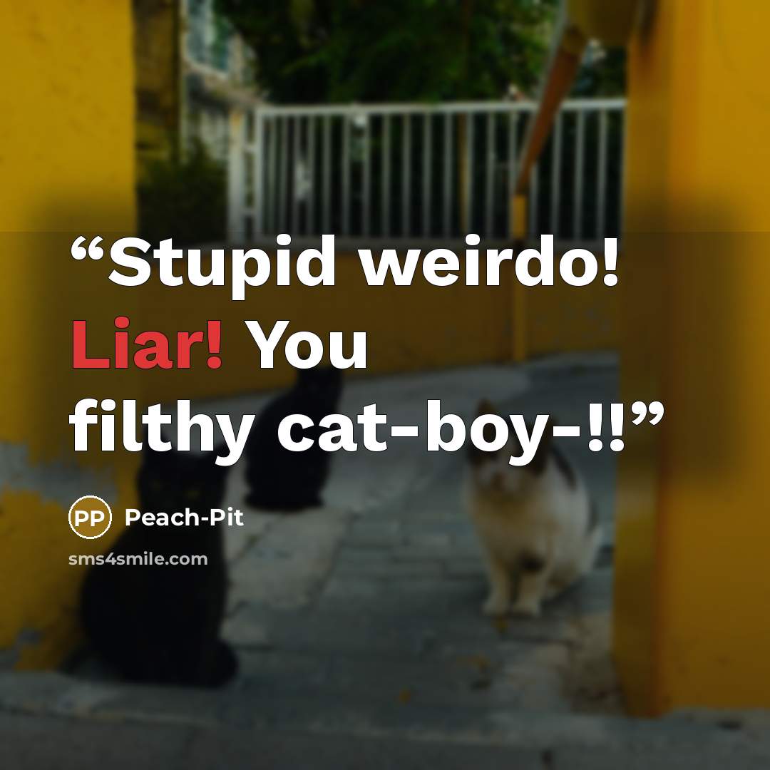 “Stupid weirdo! Liar! You filthy cat-boy-!!” quote by Peach-Pit
