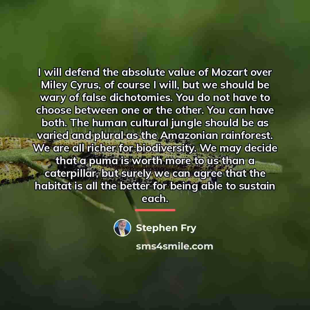 “I will defend the absolute value of Mozart over Miley…” quote by Stephen Fry