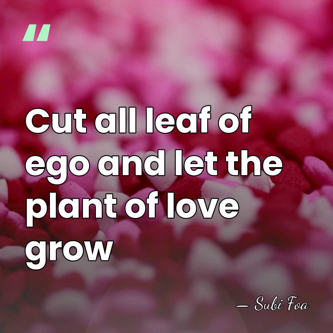 Cut all leaf of ego and let the plant of love grow - Subi Foa