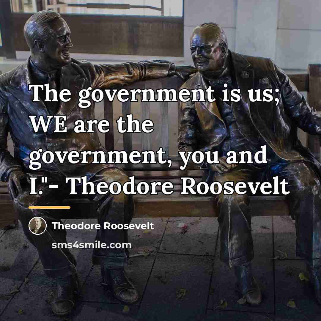 “The government is us; WE are the government, you and…” quote by Theodore Roosevelt
