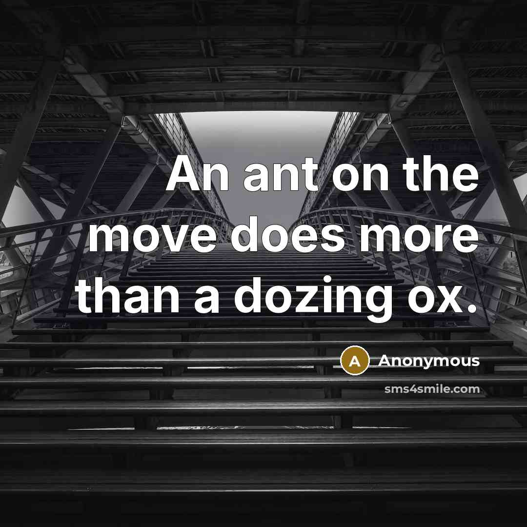 “An ant on the move does more than a dozing ox.” quote by Anonymous