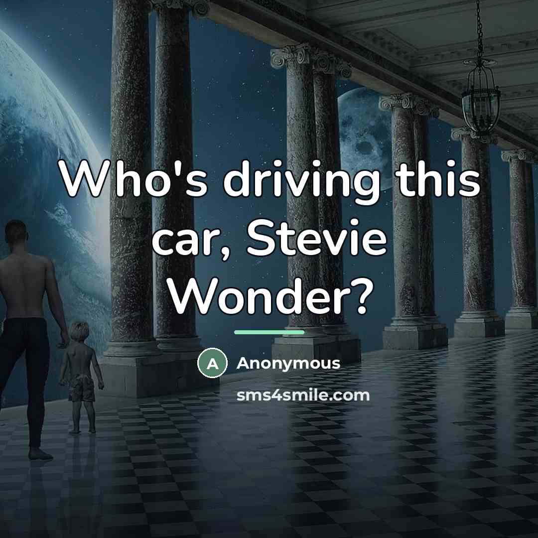 “Who's driving this car, Stevie Wonder?…” quote by Anonymous