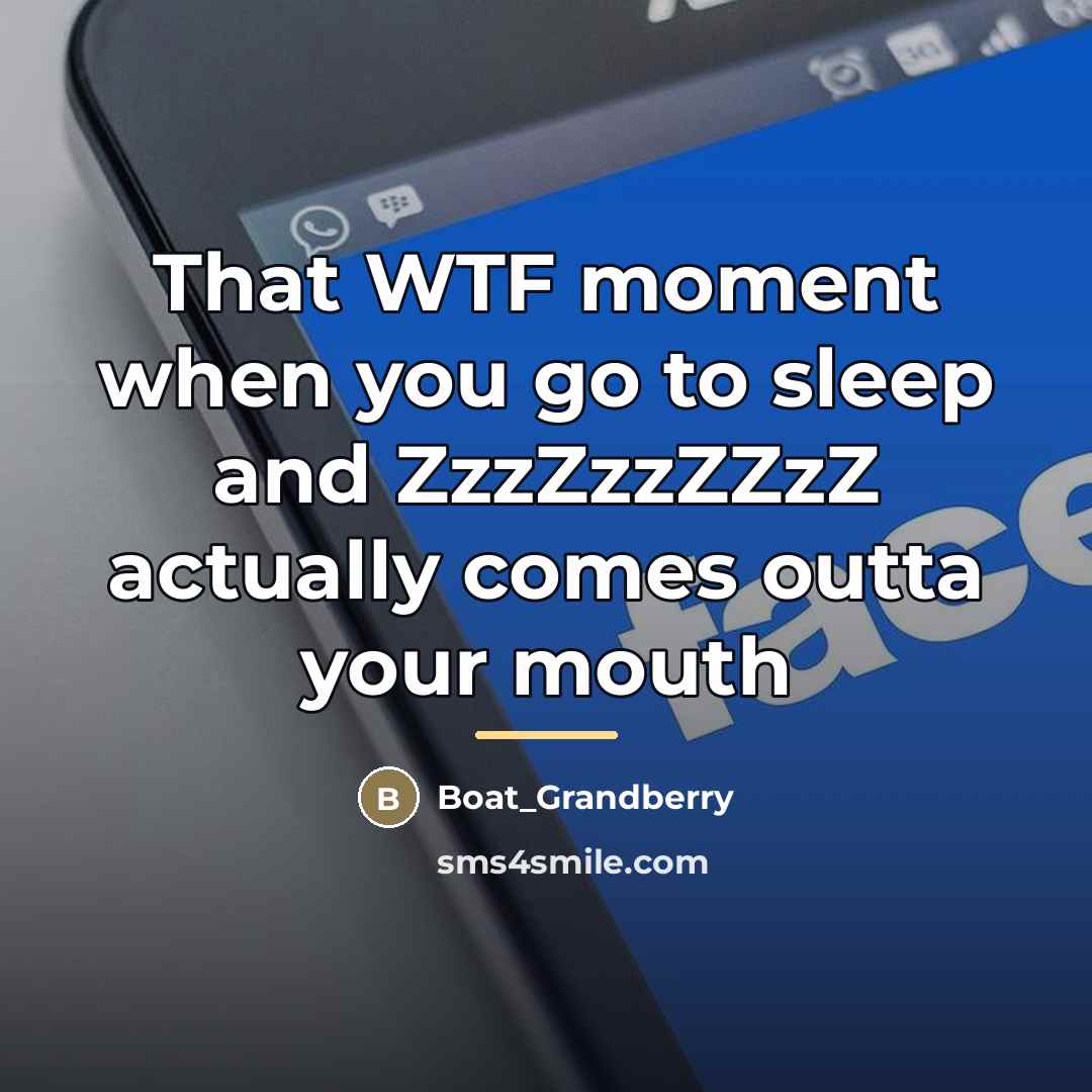 “That WTF moment when you go to sleep and ZzzZzzZZzZ…” quote by Boat_Grandberry